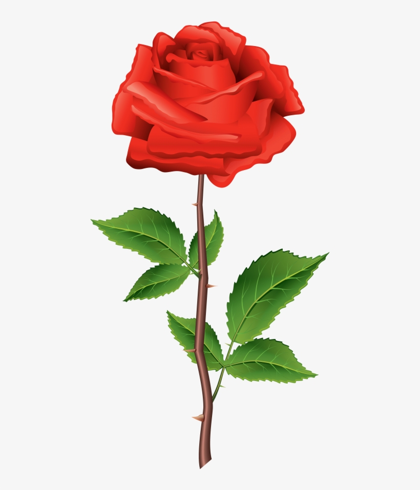 Free Png Stem Red Rose Png Images Transparent - Rose Clipart Png, transparent png download