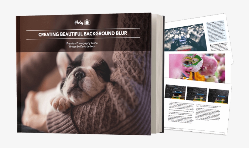 Click Add To Cart Now To Get Your Copy Of Beautiful - Sweet Sleeping Black And White French Bulldog Puppy, transparent png download