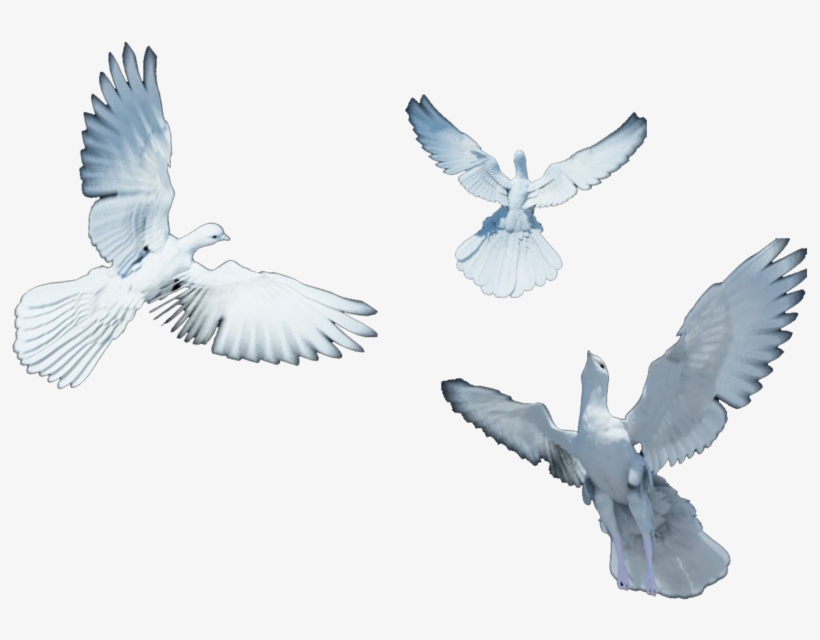 By Darkadathea On Deviantart - Doves Flying Png, transparent png download