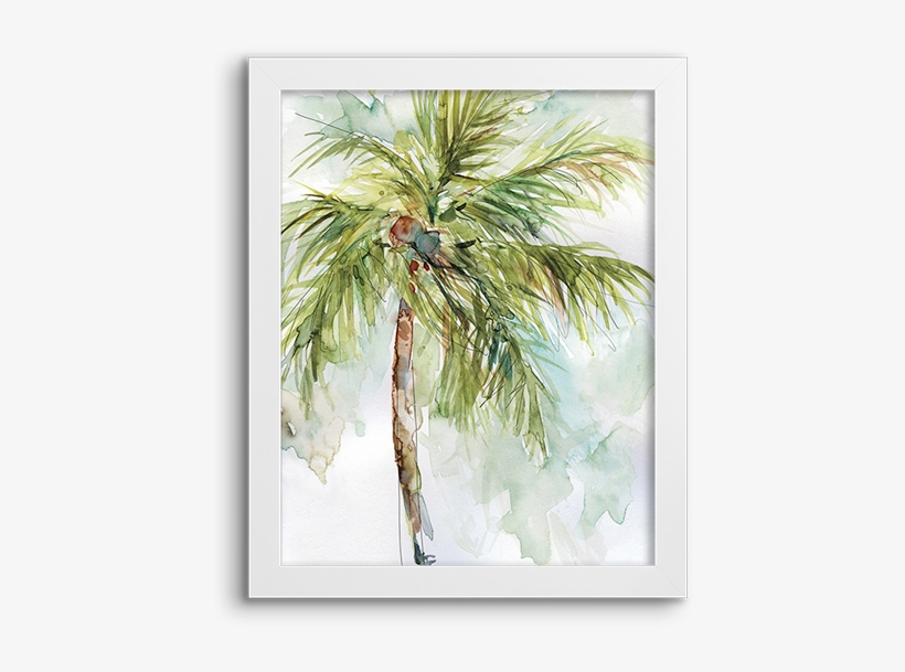 Coconut Palm - Palm Trees, transparent png download