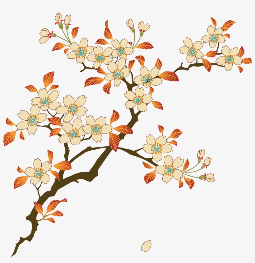 Floral Png Photos - Floral Png, transparent png download