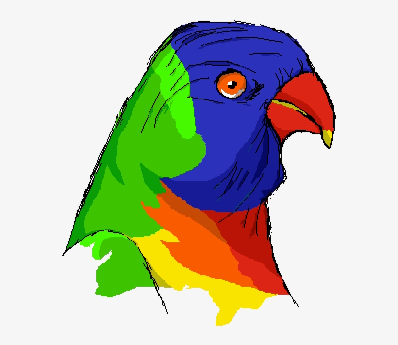 Rainbow Lorikeet - Lorikeet, transparent png download