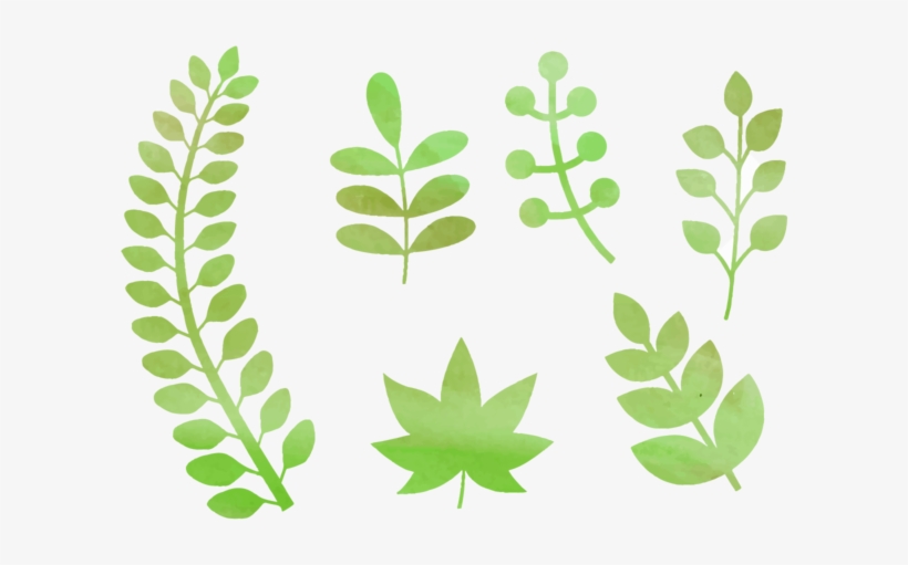 Png Vetor Folhas Naturais, transparent png download