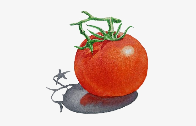 Png Freeuse Library Art Watercolor Painting Illustration - T Art Alphabet For Kids Room, transparent png download