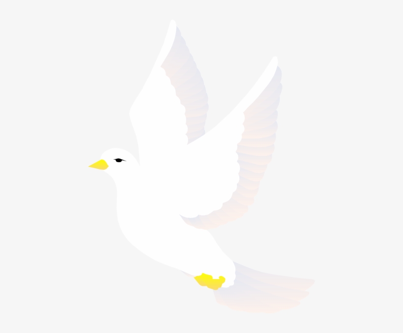 Flying Dove Svg Clip Arts 462 X 598 Px, transparent png download