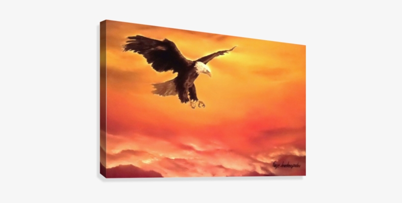 Soaring High Canvas Print - Eagle And Sunset Paintings, transparent png download