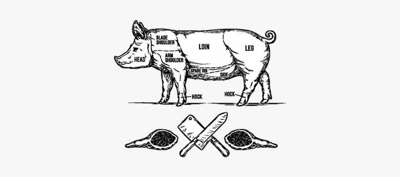 Vector Illustration Of A Pig, Pig, Illustration, Vector - Vector Graphics, transparent png download