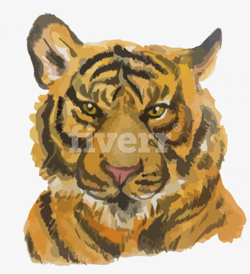 Siberian Tiger, transparent png download