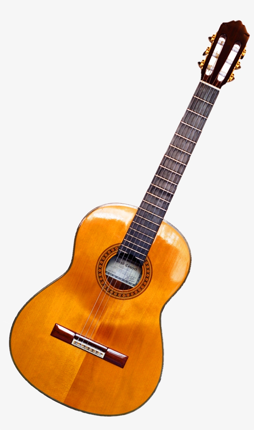 Ukulele And Guitar Difference PNG Image Transparent PNG Free Download