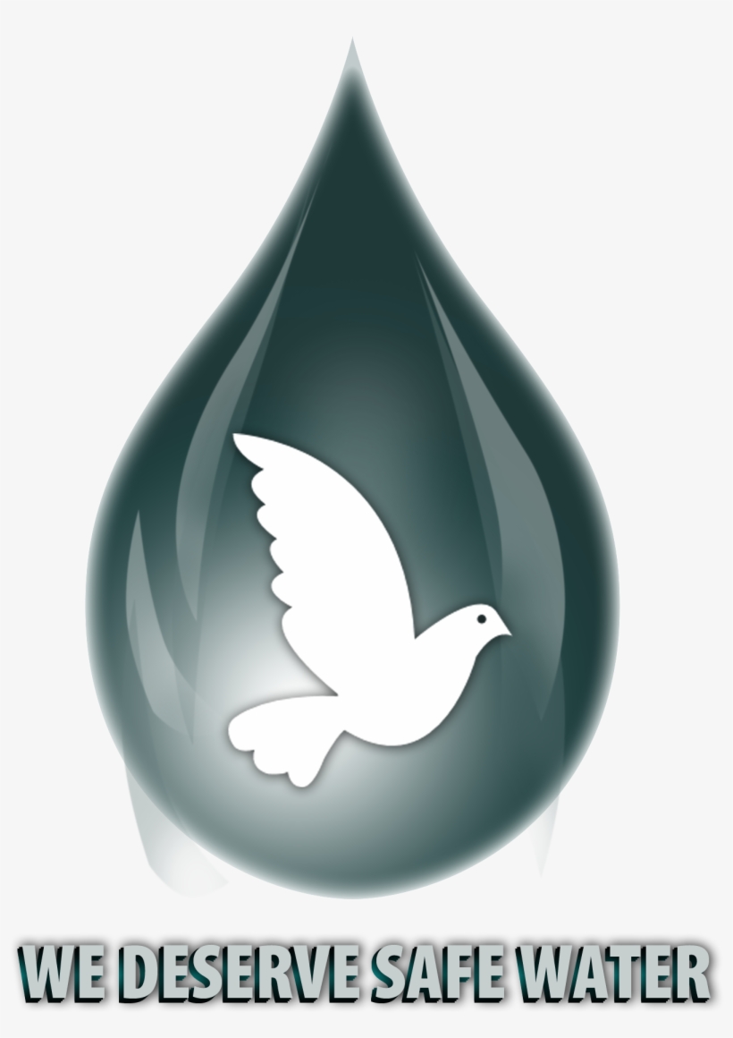 Large - Http - //www - Wedeservesafewater - Com/forum/uploaded/logo - Qr Code, transparent png download