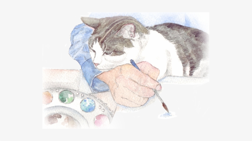 Home, transparent png download