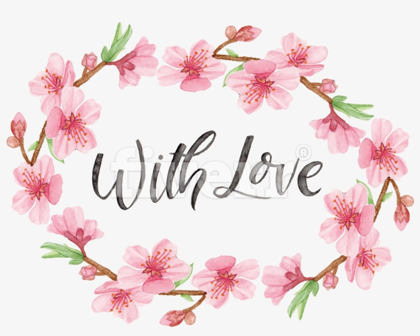 Cherry Blossom, transparent png download