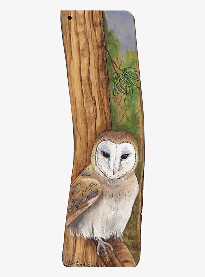 Marilyn Boyle - Barn Owl, transparent png download