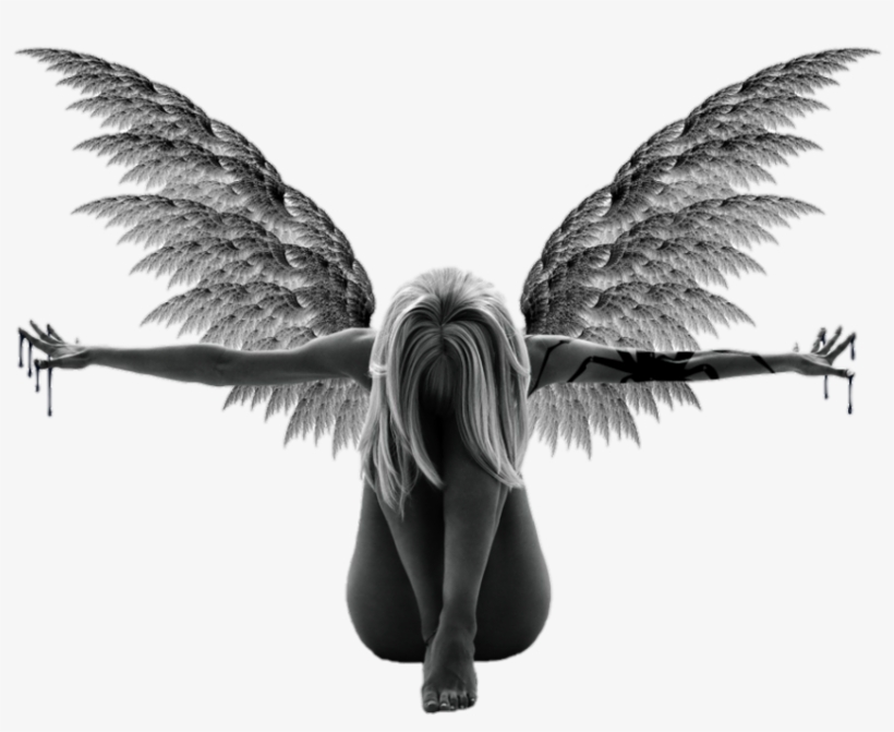 By Darknessdeath On Deviantart Vector Freeuse Download - Angel, transparent png download