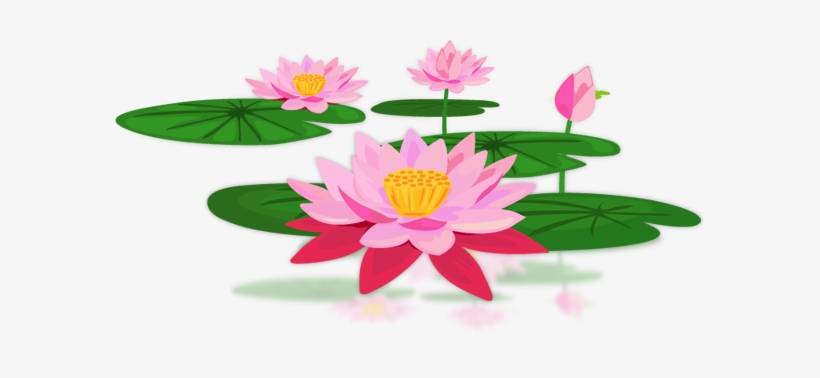 Lotus Png Pic - Lotus Png, transparent png download