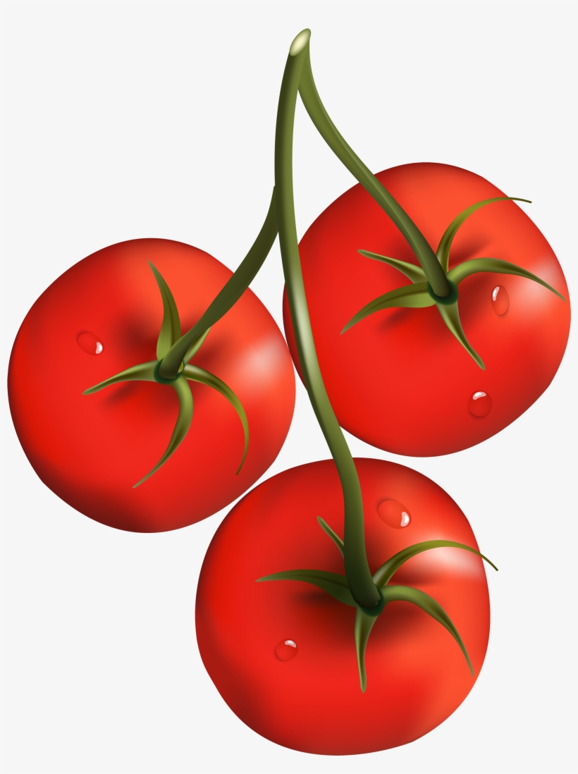 Watercolor Lunaria Clipart, Wedding White Flowers Clipart - Cherry Tomatoes Clip Art, transparent png download