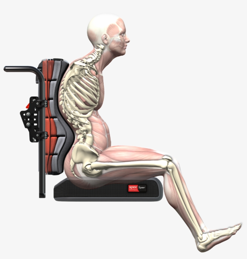 Spex Accomplishes What The Clinician Desires, And What - Wheelchair, transparent png download