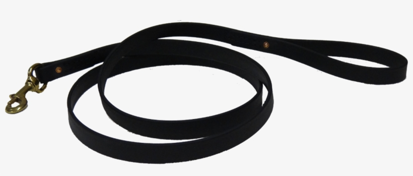Biothane Leashes - Dog Leash Png, transparent png download