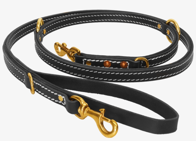 407503 - Dog Leash And Collar Png, transparent png download