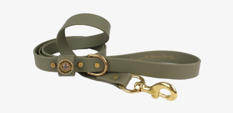 Water Dog Leash Olive - Dog, transparent png download