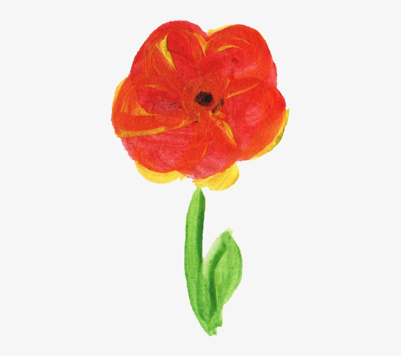 Free Download - Common Poppy, transparent png download