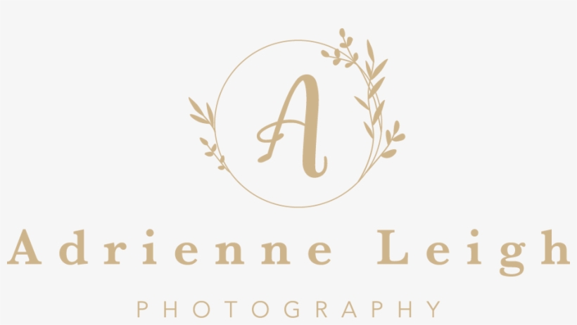 Adrienne Leigh Photography Logo Type And Icon - Boultbee Flight Academy, transparent png download