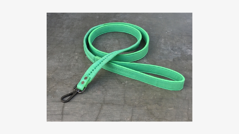 Hampton Dog Leash - Dog, transparent png download