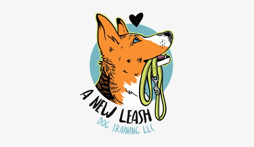 A New Leash Dog Training - Dog, transparent png download