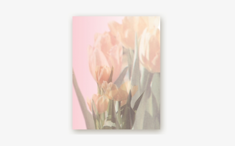 Picture - Bouquet, transparent png download