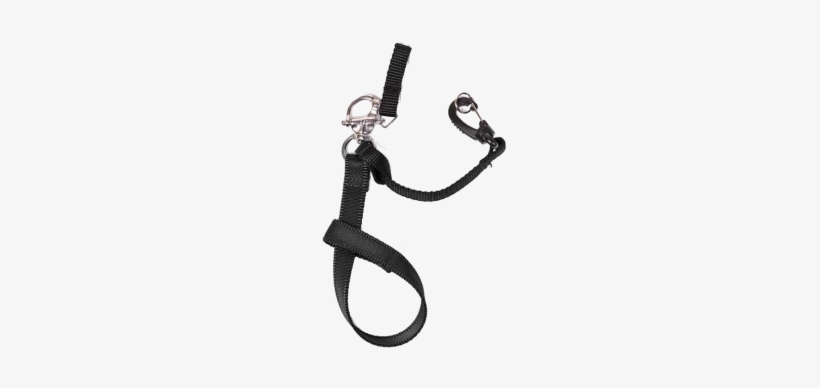 Vegan Camera Leash - Hold Fast Swagg, transparent png download