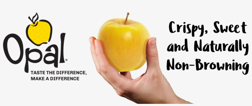 Opal Apple, transparent png download