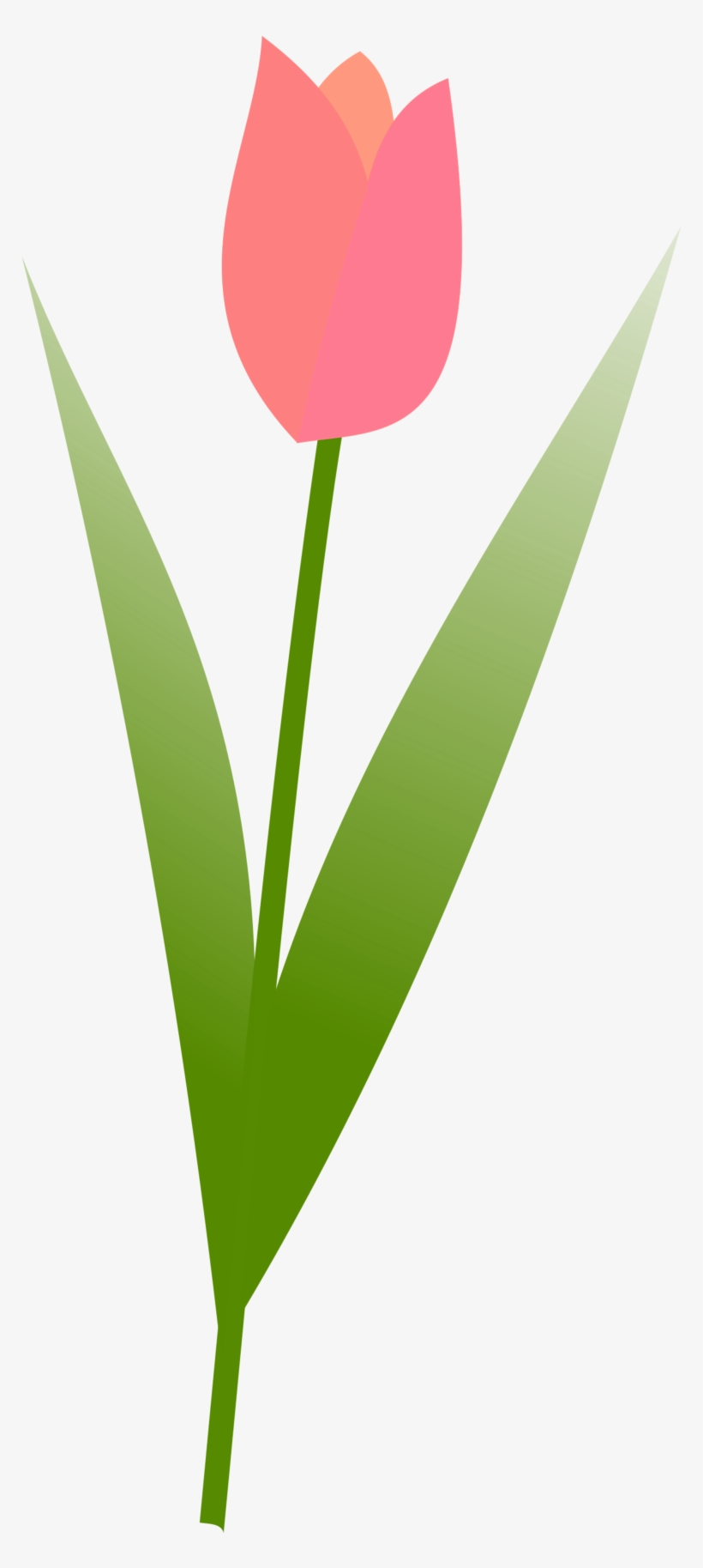Row Huge Freebie Download For Powerpoint - Tulip, transparent png download