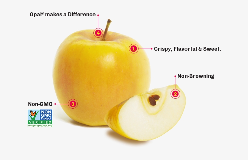 Taste The Difference And Make A Difference With Opal® - Raw Elements Eco 30+ Stick (pack Of 2), transparent png download