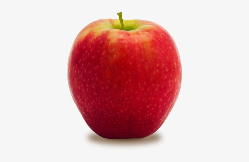 Holtzinger Fruit - Pink Lady - Pink Cripps, transparent png download