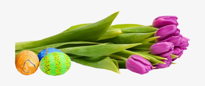 Posted By Doina At - Hotel Halászkert, transparent png download