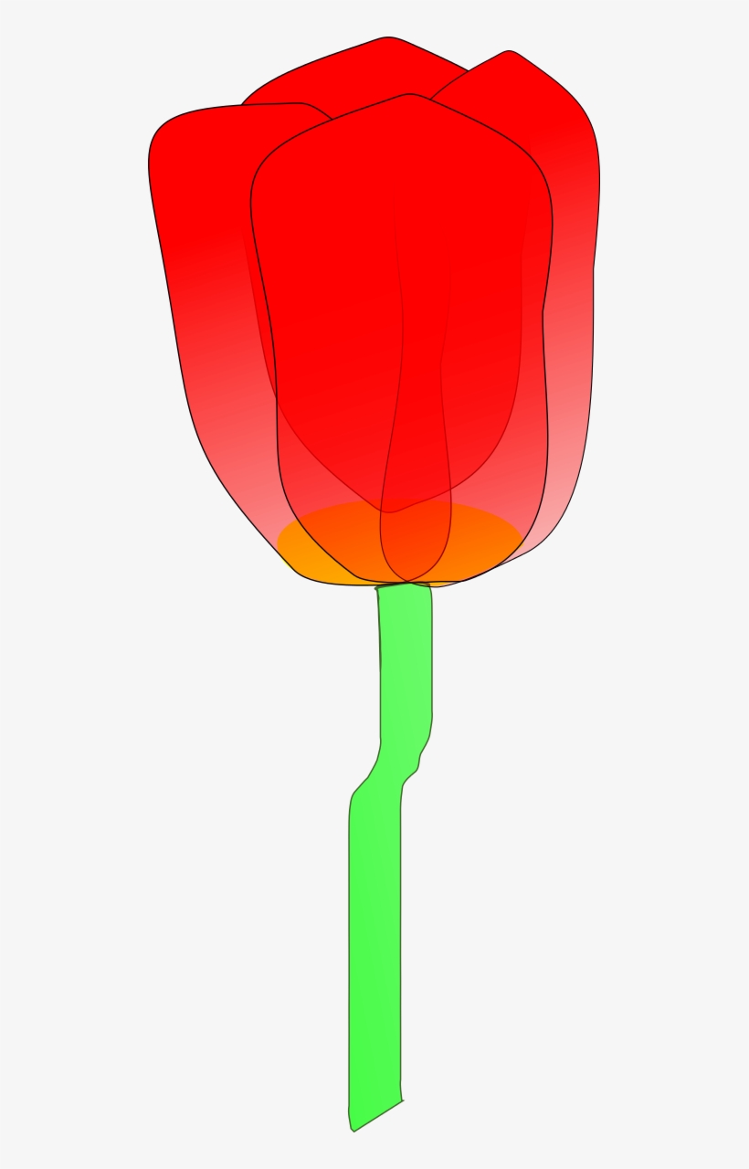 Tulip Clipart By Machovka - Orange Tulip Clip Art, transparent png download