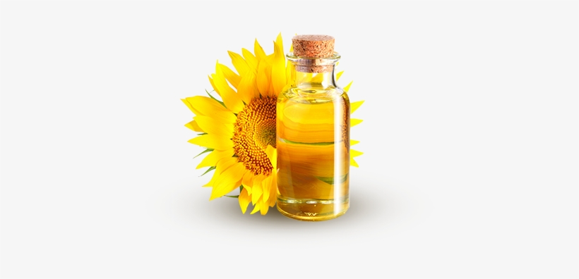 Sunflower Oil Png - Matrix Fine Science Pvt, transparent png download