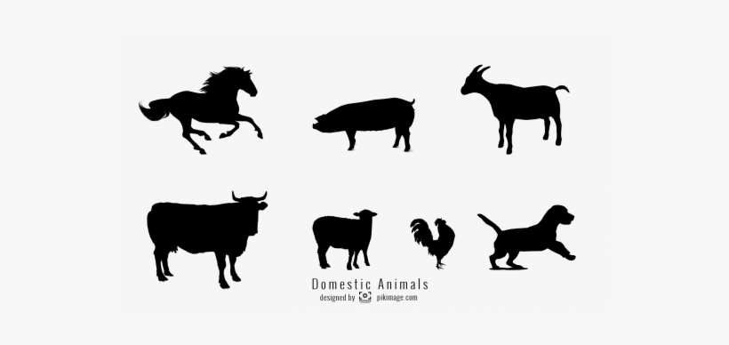 Vector Image Domestic Animal Png File - Horse, transparent png download