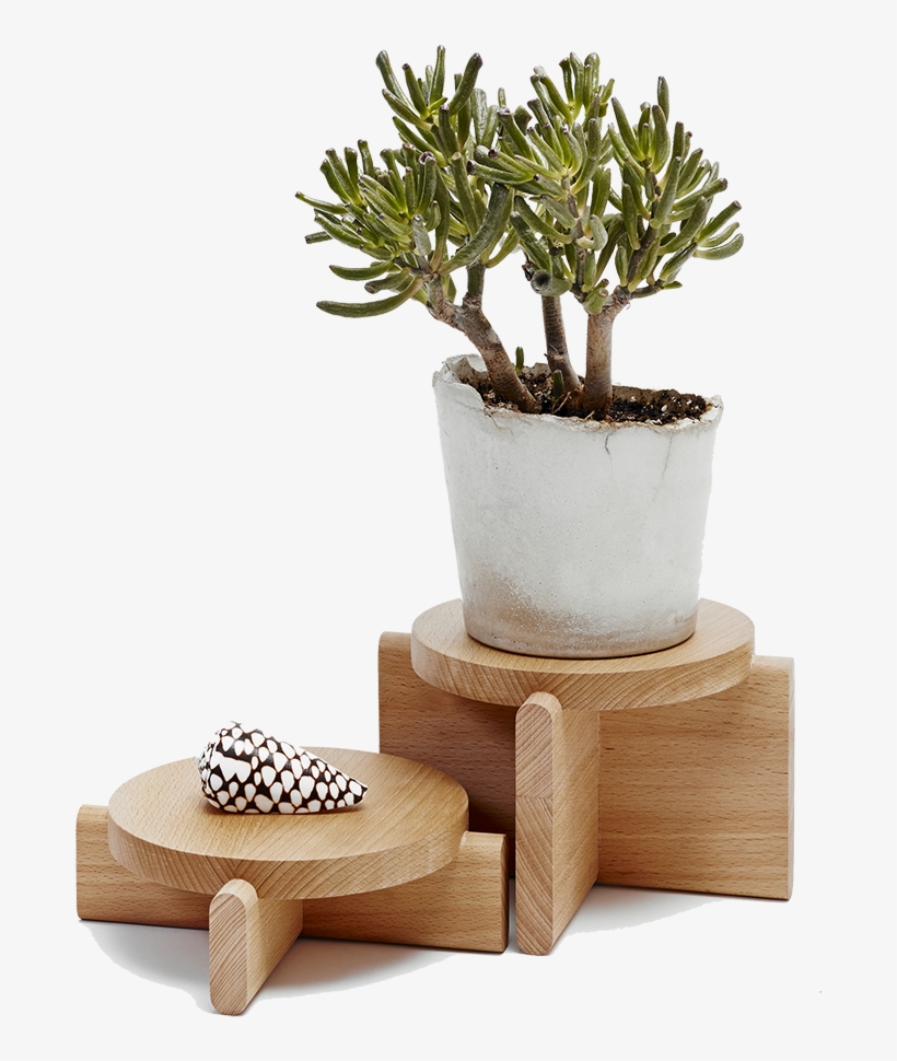 Pedestals-0 - Areaware - Plant Pedestal Set, Beech, transparent png download