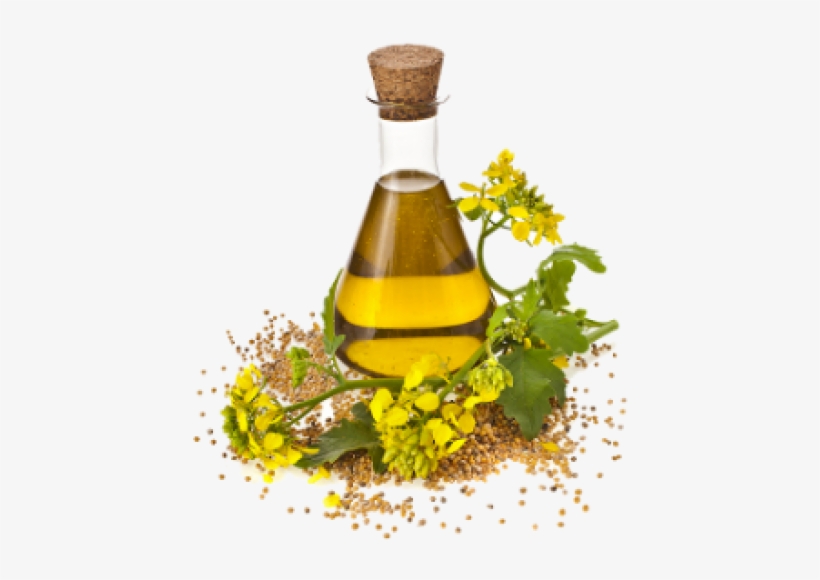 Dill Oil, transparent png download