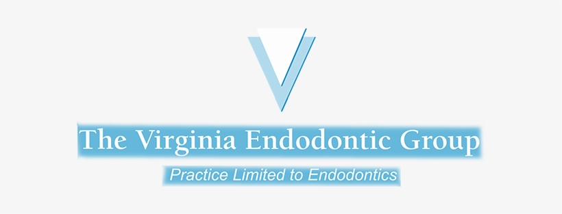 Link To The Virginia Endodontic Group Home Page - Virginia, transparent png download