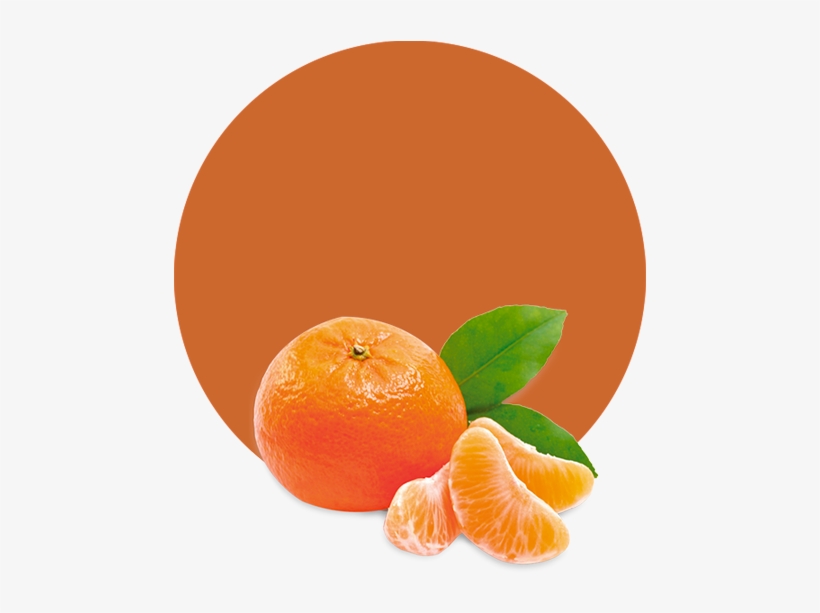 Com/wp Essential Oil - Shampoo Hempseed By The Wonder Seed, transparent png download