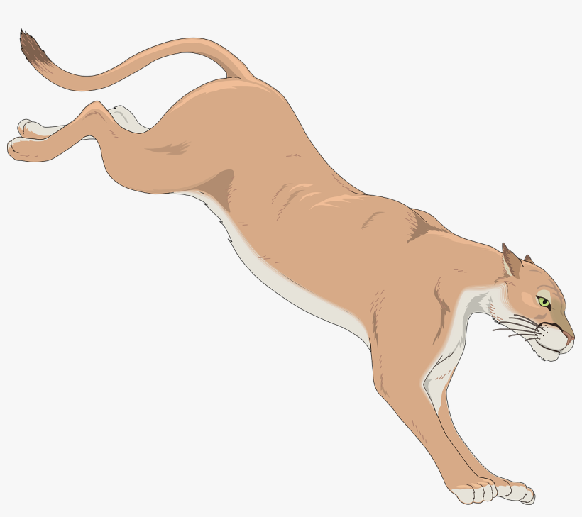 Mountain Lion Clip Art At Clker Com Vector Clip Art - Cougar Clip Art, transparent png download