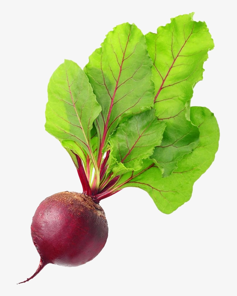 Beet Png, transparent png download