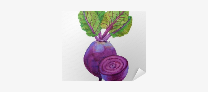 Beets With Leaves - Watercolor Painting, transparent png download