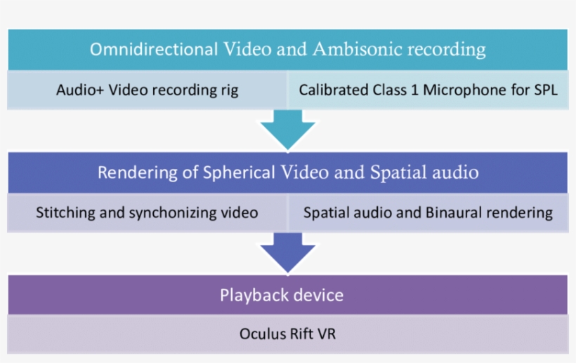 The Complete Reproduction Process For Omnidirectional - Information, transparent png download