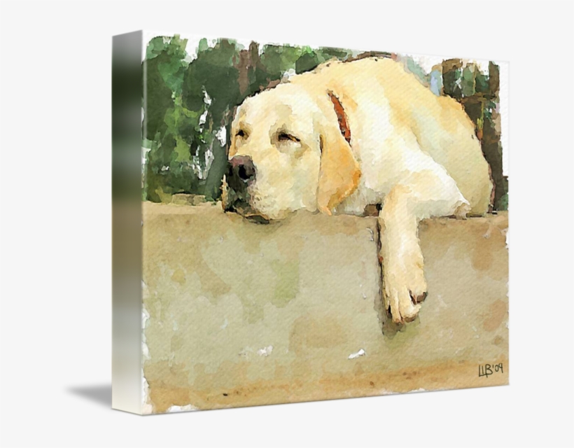 "siesta" By Vitaly Shchukin - Gallery-wrapped Canvas Art Print 15 X 11 Entitled Siesta, transparent png download