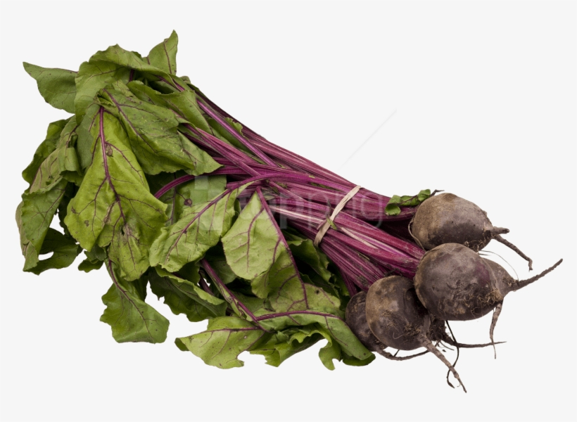 Download Fresh Beetroot Png Image - Vegetable, transparent png download
