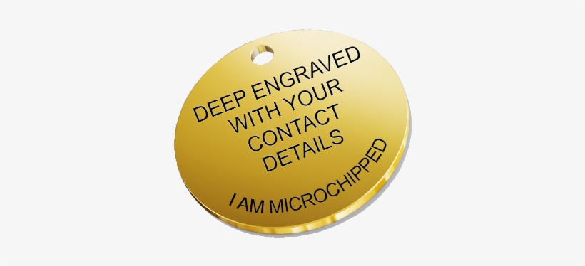 Dog Id Pet Name Tags-solid Brass - Circle, transparent png download