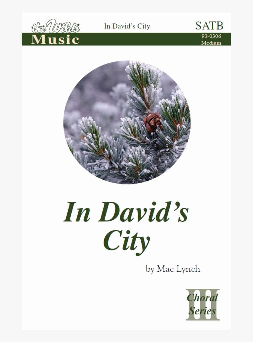 In David's City - Wishes You A Cookin Christmas, transparent png download